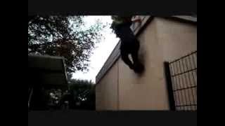 Parkour 95 2013 [upl. by Ecined137]