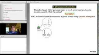 USMLE Step 1 Classroom Anywhere Preview Biochemistry with Dr Sam Turco [upl. by Yatnoed371]