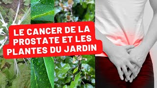 Jardin Créole et Santé Masculine  Les Plantes qui Combattent le Cancer de la Prostate [upl. by Gilliam]