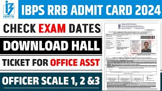 IBPS RRB Clerk Admit Card 2024  Exam Date Out [upl. by Irrol]