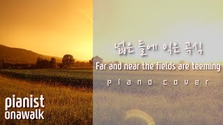 추수감사찬양 Thanksgiving 🌾 Hymn piano🍇🌾🍎🫑🌰 Far and near the fields are teeming [upl. by Yatnoed592]