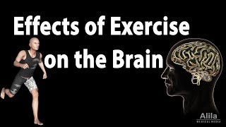 Effects of Exercise on the Brain Animation [upl. by Norvun]