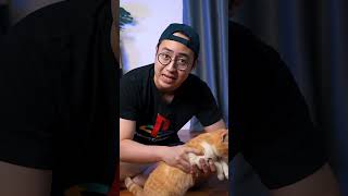 MEDY RENALDY NGEREVIEW MAINAN KUCING GARFIELD [upl. by Jesselyn]