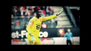 Edouard Mendy  201920 Saves  Stade Rennais [upl. by Thinia743]