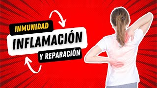 Emisión en directo  Inflamación y reparación de tejidos  Patología 2024B [upl. by Imotih]