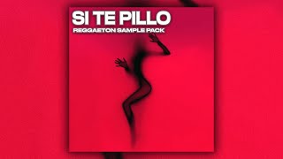 Reggaeton Sample Pack „Si Te Pillo“  Perreo Loops Jowell y Randy Daddy Yankee Don Omar [upl. by Yllib]