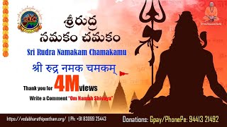 Sri Rudram Namakam Chamakam with Telugu Lyric  శ్రీరుద్ర నమకం చమకం  Sri Rudram in Telugu  SVBP [upl. by Yalhsa]