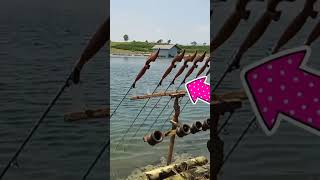 Sambaran Teknik Bleseng fishing mancing [upl. by Pejsach]