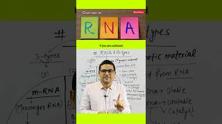 RNA Overview  Molecular Genetics nursing neet pharmacy [upl. by Reggy]