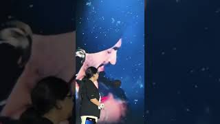 Diljit dosanjh live concert diljitdosanjhdilluminatitour deLhilive viralvideoshorts [upl. by Ordnas]