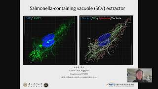 Salmonellacontaining vacuole SCV extractor Collection of HereIM database [upl. by Selda88]