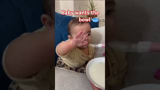 Baby wants bowl and not spoon 😂 baby cutebaby funny cute shortsviral [upl. by Anol534]