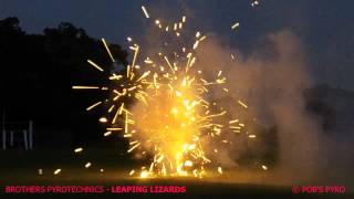 Brothers Pyrotechnics Leaping Lizards Fountain Firework [upl. by Merrell734]