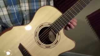 Washburn WCG25SCE Demo [upl. by Novj]