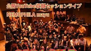 【公開YouTube収録】 ゲスト mayu from NEMOPHILA [upl. by Lavicrep566]