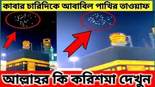 পবিত্র কাবার ওপর আবাবিল পাখি করনা আতঙ্ক দুর করতে আল্লাহ করিশমা দেখুন [upl. by Manson91]