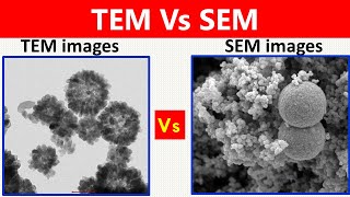 SEM Vs TEM [upl. by Ycniuqal665]