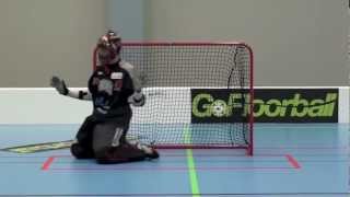 Floorball goalie training [upl. by Cele]