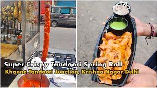 Super Crispy Tandoori Spring Roll At Khanna Tandoori Junction Krishna Nagar l Delhi Street Foood [upl. by Accebor988]