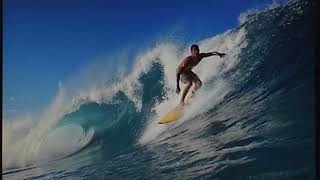 The Surfaris quotSurfer Joequot 1963 DOT version [upl. by Ybba261]