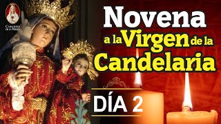 Novena Milagrosa a la Virgen de Lourdes 💧Día 2💧 Oración e Historia 🙏 Caballeros de la Virgen [upl. by Ignacia]