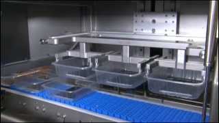 Tramper D360  standalone denester for placing trays on a conveyor belt [upl. by Nagey]