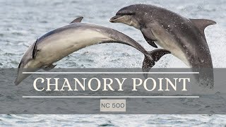 Chanory point  NC 500  Dolphins [upl. by Cletus]