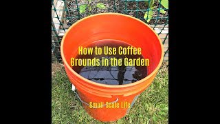 Container Gardening  Coffee Grounds and Egg Shells as Organic Fertilizers [upl. by Farleigh]