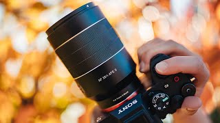 Samyang 50mm f14 II Photo  Video Review  Mixed feelings [upl. by Elleneg557]