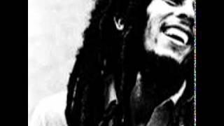 Bob Marley  Red Red Wine Remix [upl. by Artimid]