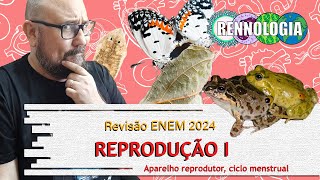 REVISÃO ENEM 2024  Reprodução I [upl. by Martelle]