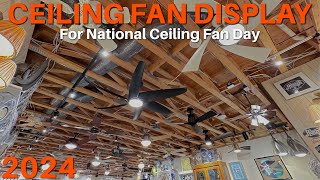 Ceiling Fan Display 2024  NCFD [upl. by Emrich13]