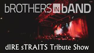 Dire Straits Tribute Brothers in Band [upl. by Quenby268]