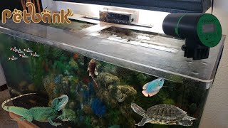 Petbank Rechargeable Intelligent Feeder  Automatic Fish Feeder [upl. by Enilorac320]