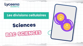 Bac Sciences  SVT  Les divisions cellulaires [upl. by Leinahtam318]