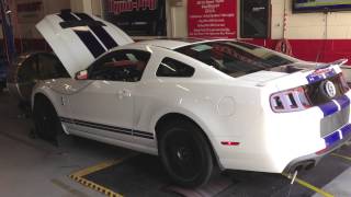 700HP STOCK 2014 SHELBY GT500 MUSTANG on the DYNO [upl. by Donahue505]