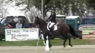 Grand Prix Jumping at HITS Ocala [upl. by Inahc]