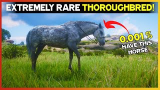 Get This Extremely Rare Dapple Gray Thoroughbred With Location  RDR2 [upl. by Esele]