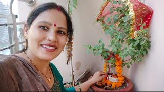 एकादशी पूजन तुलसी मैया और शालिग्राम भगवान का विवाह  god tulsi saligrama marriage pooja aditi [upl. by Andrel]