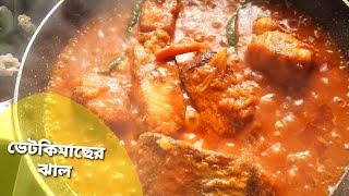 Bhetki Macher kaliaদারুণ স্বাদের ভেটকিমাছের কালিয়াeasy bengali recipe [upl. by Macswan140]