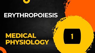 Erythropoiesis Red Blood Cell Formation Part 1  Hematology [upl. by Etnoval971]