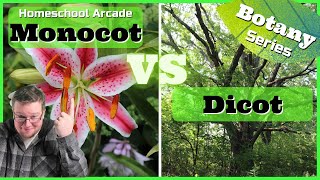 Monocots VS Dicots  6 Main Differences Between Monocots amp Dicots [upl. by Skrap]