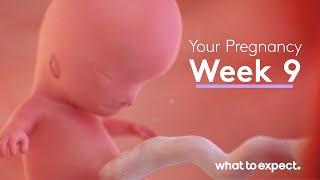 9 Weeks Pregnant  What to Expect [upl. by Annek]