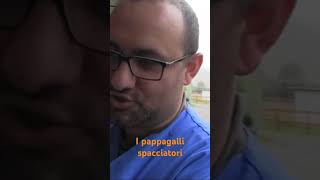 I pappagalli spacciatori perte neiperte [upl. by Yoshi]