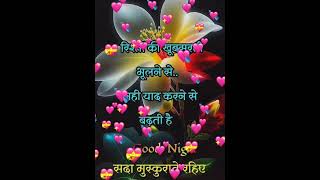 Good Night Status  WhatsApp Good Night Status Videos [upl. by Enitsed]