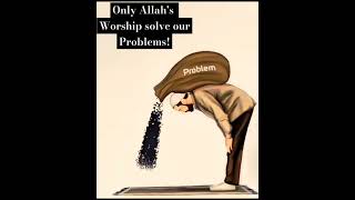 Problems Vs Solution islam islamic allah only worship islamicvideo islamicstatus [upl. by Rodina]