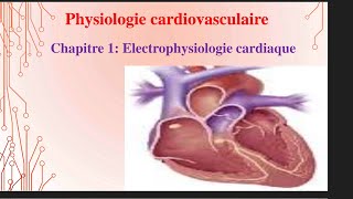 UE1 Physiologie CardioVasculaire 1 بالعربية  Electrophysiologie Cardiaque Partie 1 [upl. by Jarrod]