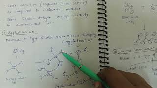 Rapid antigen testing [upl. by Tanner318]