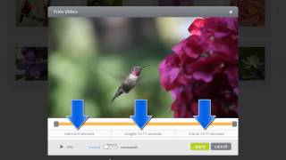 Add and Edit Video Clips in your ProShow Web Slideshows [upl. by Sucul]