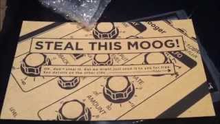 Moog Minitaur Unboxing [upl. by Agiaf436]